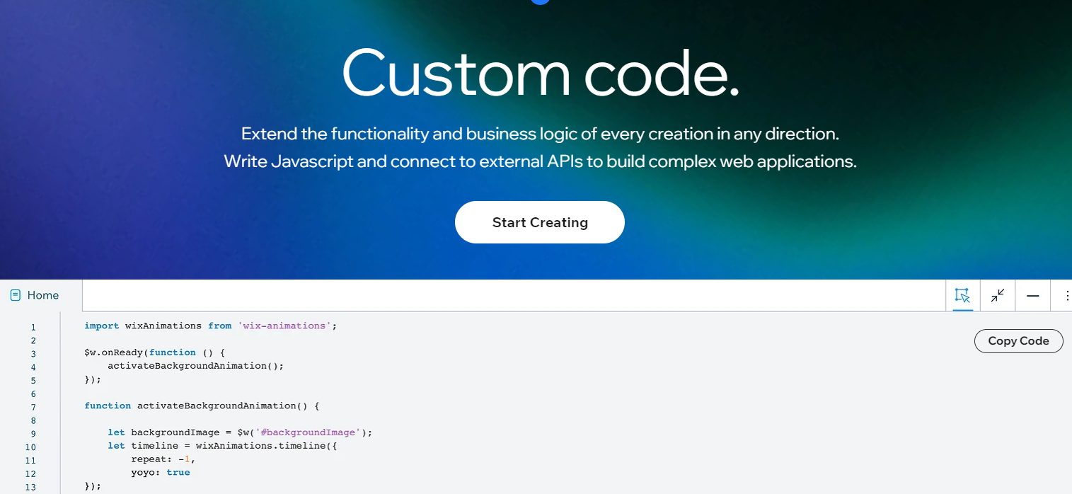 Editor X custom code feature