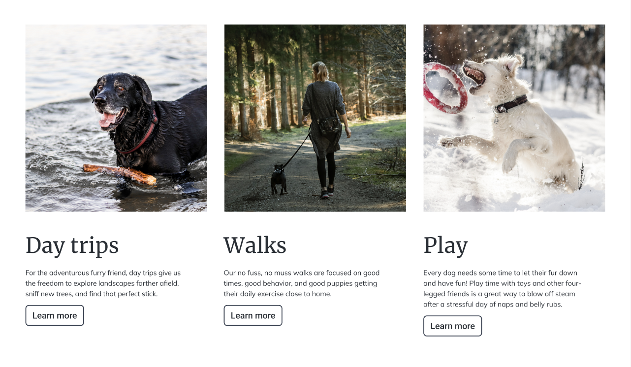 Services section of a dog walking business website. Three pictures of dogs walking and playing.