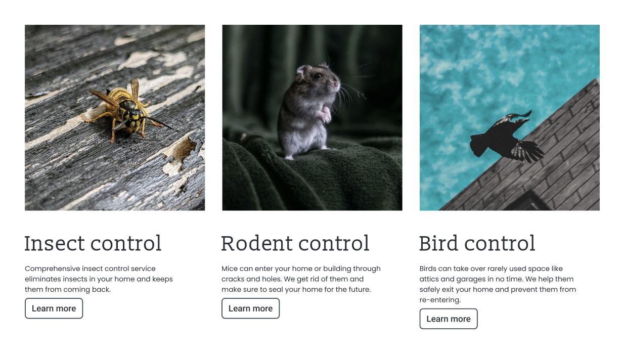 Three images of pests including a wasp, a rodent, and a bird to describe services offered.