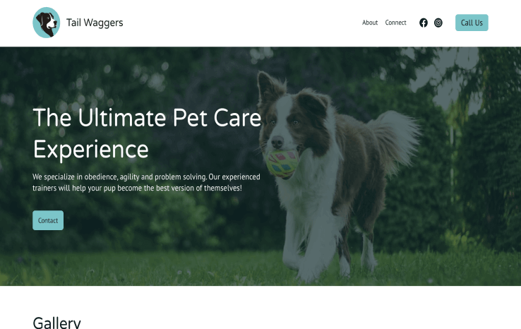 Pet care website example